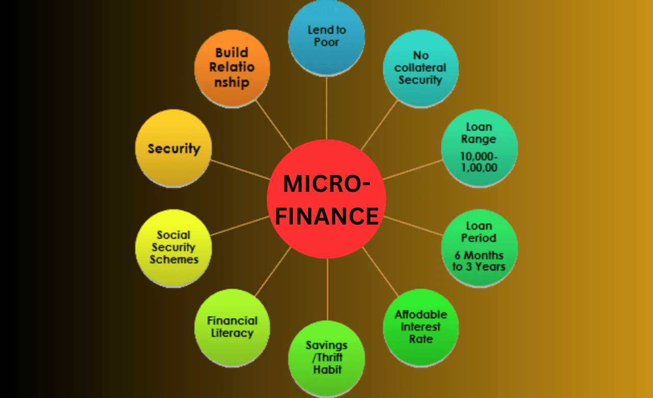 MICROFINANCE SOFTWARE